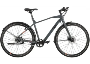 Rower miejski RAYMON UrbanRay 2.0 Gent