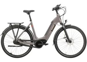 Rower elektryczny BATAVUS Altura E-Go Power Plus