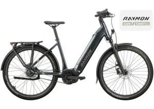 Rower elektryczny RAYMON Metmo Nexus (1x8)