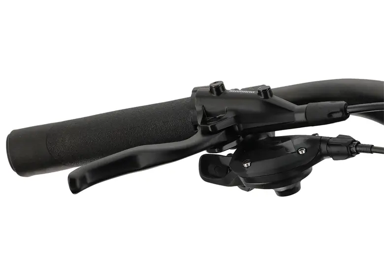 Rower elektryczny WINORA Sinus FS X12 - obrazek 10